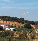Opracol-Sevilla realiza el tratamiento aéreo contra la mosca del olivo en 10.000 hectáreas de la Vega y la Sierra Norte de Sevilla