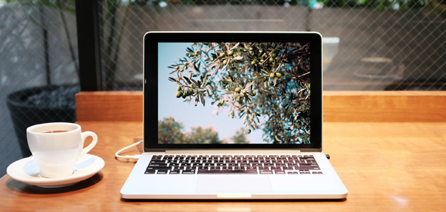 ¿Te has ido de vacaciones durante Semana Santa? Repasamos las noticias de interés para el sector oleícola