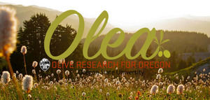 Olea , un proyecto para promover el desarrollo del cultivo del olivo en Oregón (EEUU)
