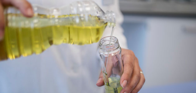 Dos nuevas investigaciones explorarán el potencial saludable del aceite de orujo de oliva