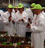 Andalucía ordena el pago de más de 406 millones de euros en ayudas directas de la PAC