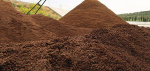 El Gobierno incorpora el orujillo como materia prima de cómputo doble para obtener biocarburantes