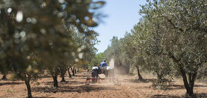 El Gobierno aprueba ayudas para el gasóleo agrícola y la compra de fertilizantes por el incremento de costes