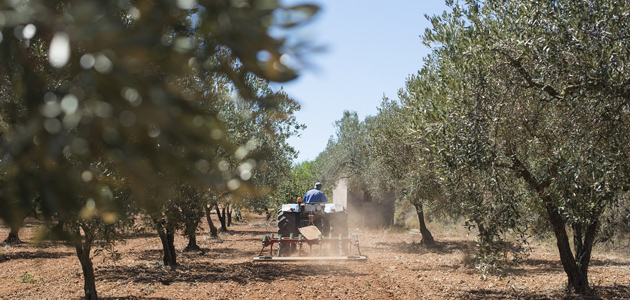 El MAPA convoca las ayudas anuales del Plan Renove de maquinaria agrícola por 9,5 millones de euros