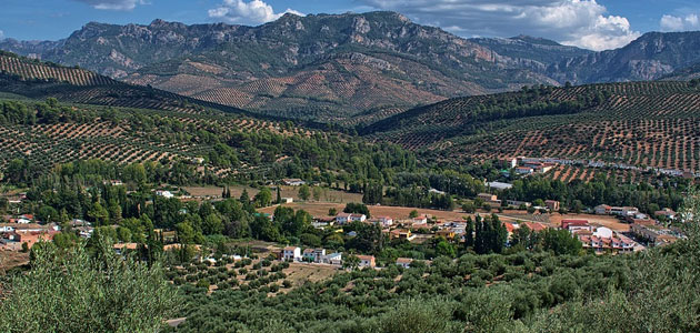Cooperativas Agro-alimentarias de Andalucía, reconocida como “PYME innovadora”