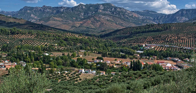 Una jornada aborda las estrategias que deben adoptar las cooperativas de Jaén