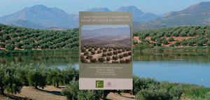 Una publicación recoge los valores patrimoniales del paisaje del olivar andaluz