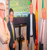 Inician el expediente para que el paisaje del olivar sea declarado Patrimonio de la Humanidad