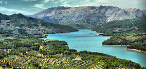 Nuevo impulso a la candidatura del Paisaje del Olivar andaluz como Patrimonio Mundial de la Unesco