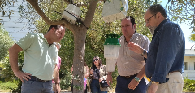 La detección automática de plagas en el olivo a través del Grupo Operativo oliVAr