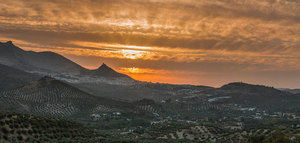 La huella del olivar en el territorio y su carácter narrativo