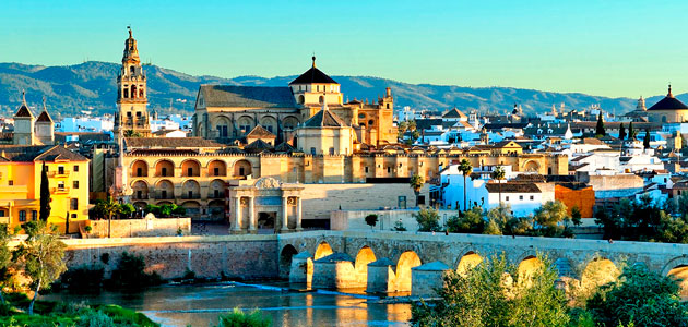 El Olivo del Patio de los Naranjos de la Mezquita-Catedral de Córdoba: historia de un ejemplar centenario