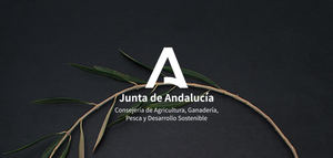 La Consejería de Agricultura de Andalucía patrocinó el Especial Día Mundial del Olivo 2020 de Grupo Editorial Mercacei