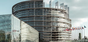 Mercosur: el PE aprueba salvaguardas para proteger la agricultura europea