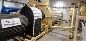 Lanzan una línea industrial dedicada a la producción de harina de aceituna