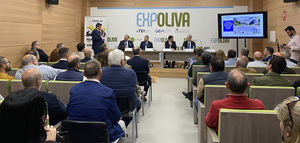 Pieralisi impulsa el sector oleícola con el foco en el mercado ibérico y la innovación global