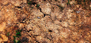 Andalucía anuncia un Plan SOS frente a la sequía