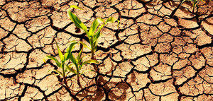 Cataluña declara la emergencia por sequía