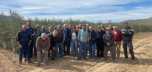 BALAM Agriculture comparte las claves sobre poda y variedades en olivar de alta densidad