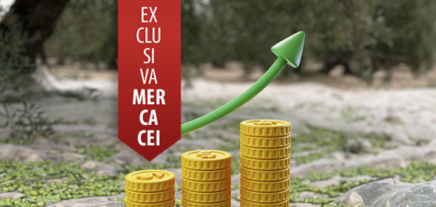 ¿Qué sucederá con los precios del aceite de oliva en los próximos meses?