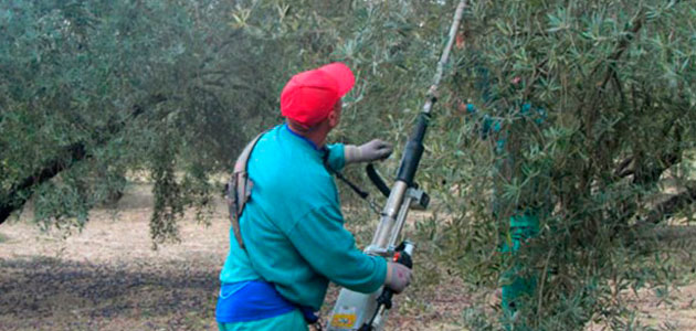 COAG advierte de que los precios en origen del AOVE en España son un 58% inferiores a los de Italia