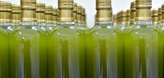 La organización Confagricoltura envía una carta al Gobierno italiano ante el desplome de los precios del AOVE