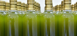 La organización Confagricoltura envía una carta al Gobierno italiano ante el desplome de los precios del AOVE