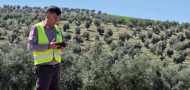 Un sistema con Inteligencia Artificial anticipa la cosecha en municipios de Jaén, Córdoba y Granada