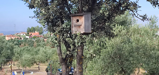 Deoleo y AEMO fallan el 'II Concurso AEMO a la Mejor Gestión Ambiental de Olivar y Almazara en España'