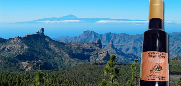 Teguerey, mejor aceite de oliva virgen extra de Canarias