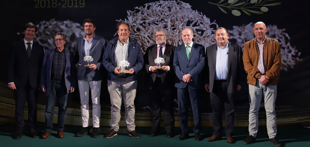 Entregados los Premios a los Mejores AOVEs de la Diputación de Sevilla