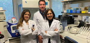 Un trabajo sobre la importancia del AOVE en la microbiota intestinal se alza con el VIII Premio de Investigación Oleícola "Luis Vañó"
