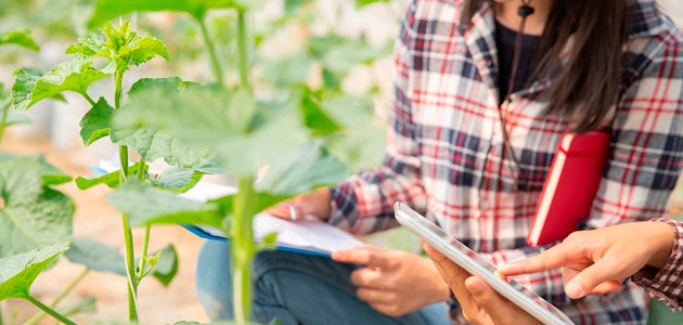 El MAPA convoca los Premios de Excelencia a la Innovación para Mujeres Rurales