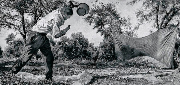 Ya se conocen las fotografías premiadas en el II Concurso Fotográfico Nacional 'Feria del Olivo de Montoro 2020'