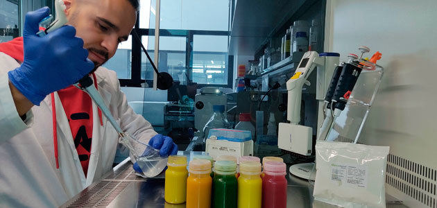 El CSIC desarrolla bebidas probióticas con una bacteria procedente de la aceituna de mesa