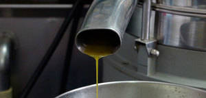 Cooperativas Agro-alimentarias prevé una producción española de aceite de oliva de 1.100.000 t., un 14,7% menos