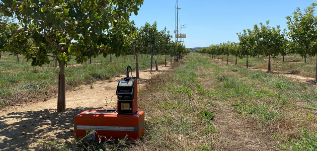 Demuestran que la fertirrigación de precisión con gemelos digitales optimiza el uso de agua y fertilizantes en cultivos leñosos