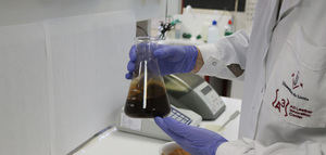 Un proyecto de investigación plantea el uso de pulpa de aceituna como antioxidante para aplicaciones cosméticas