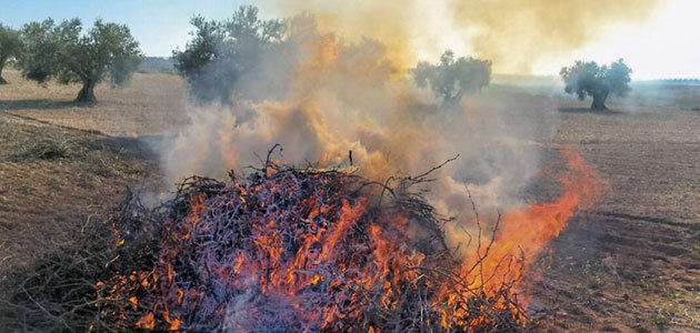 Andalucía prolonga la prohibición de quemas agrícolas hasta el 15 de octubre