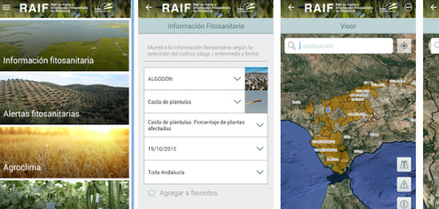 Una app para alertar de cualquier sospecha de Xylella fastidiosa