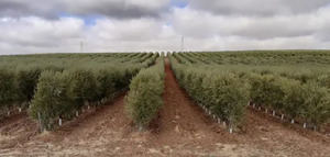 El Consejo y la Eurocámara alcanzan un acuerdo provisional sobre nuevas normas para el material de reproducción vegetal