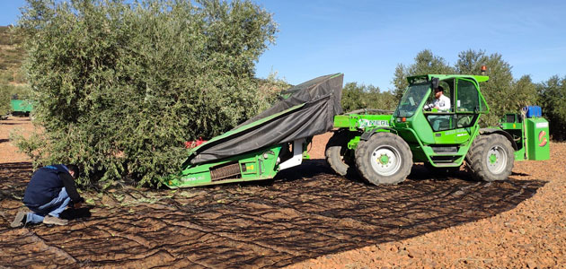 Andalucía coordina el dispositivo de atención a los temporeros en la campaña de aceituna