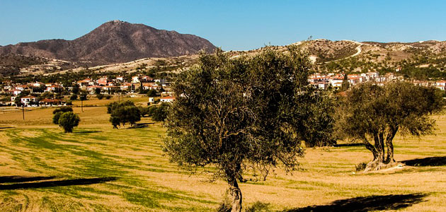 REInA, la plataforma para fomentar la inversión en innovación en el mundo rural