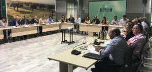 Andalucía prevé una producción de aceituna de mesa de 521.772 toneladas, casi un 12% más que la campaña anterior