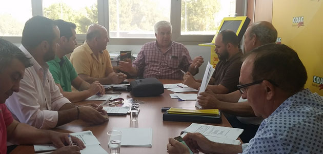 COAG-Andalucía muestra su preocupación por el estrés hídrico acumulado en el olivar