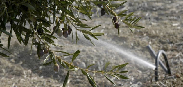 Un nuevo sistema ayuda a los agricultores a realizar un riego más eficiente