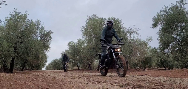 La Guardia Civil ha logrado recuperar más de 62% de la aceituna sustraída durante la campaña en Jaén