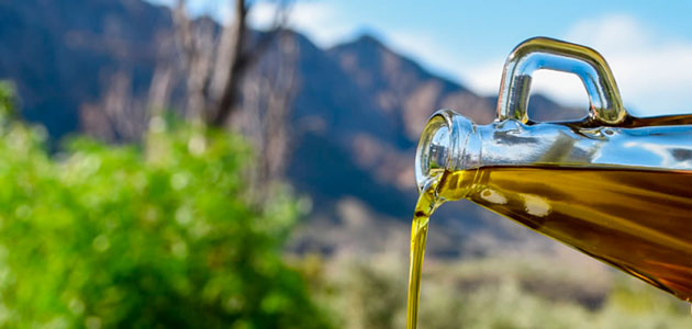 San Juan (Argentina) invita a descubrir los secretos de la producción de aceite de oliva virgen extra