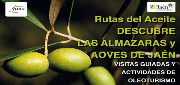 'Descubre las almazaras y AOVEs de Jaén', un nuevo proyecto para conocer el mundo del olivar y el aceite