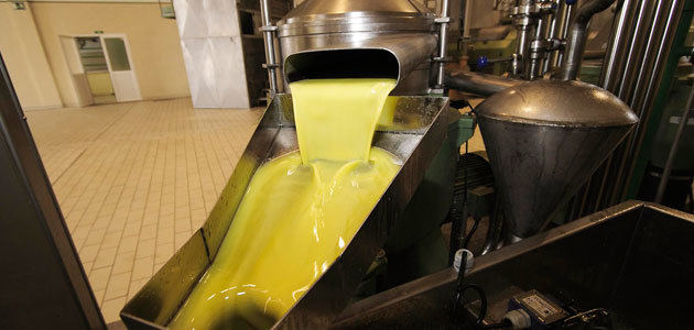 Buenos datos de producción y de salidas de aceite de oliva en febrero